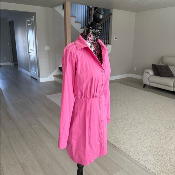 Pink Button-Up Shirt Dress - Picture 3 of 6
